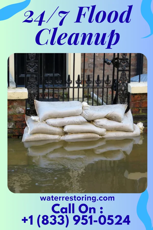 24/7 Flood Cleanup in Reeseville, WI