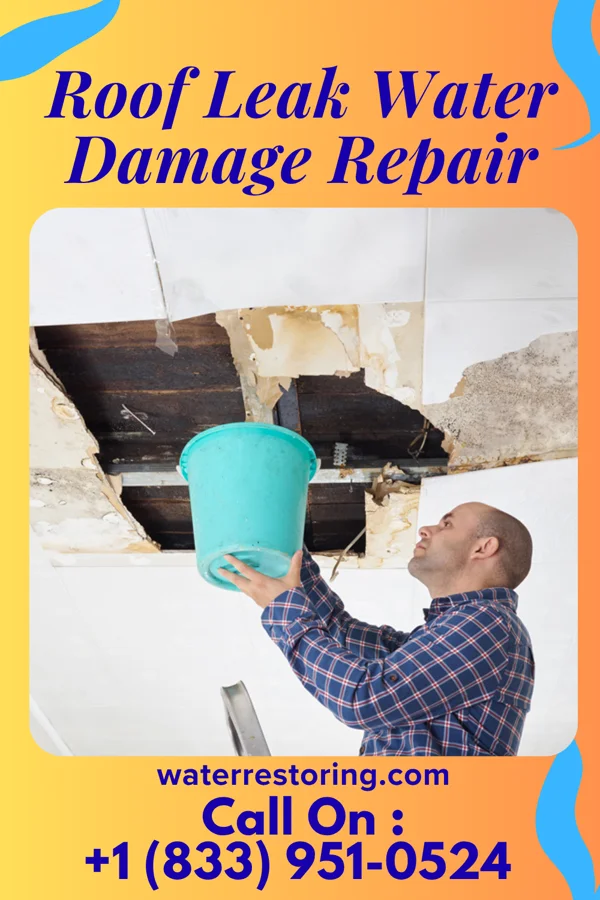 Roof Leak Water Damage Repair in Reeseville, WI