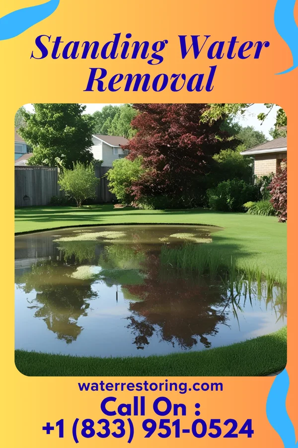 Standing Water Removal in Reeseville, WI